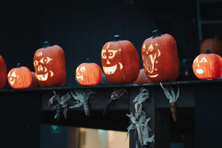 Brooklyn Bridge Park Harvest Night